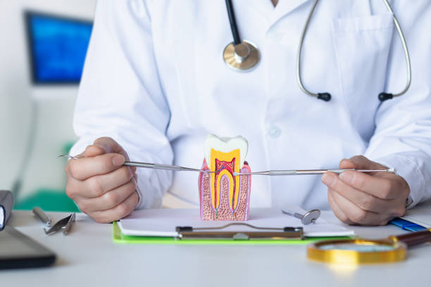 Best Emergency Treatment for Dental Infections or Abscesses in Wilder, ID